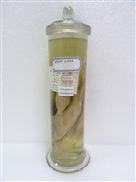 藏品(鯉)的圖片